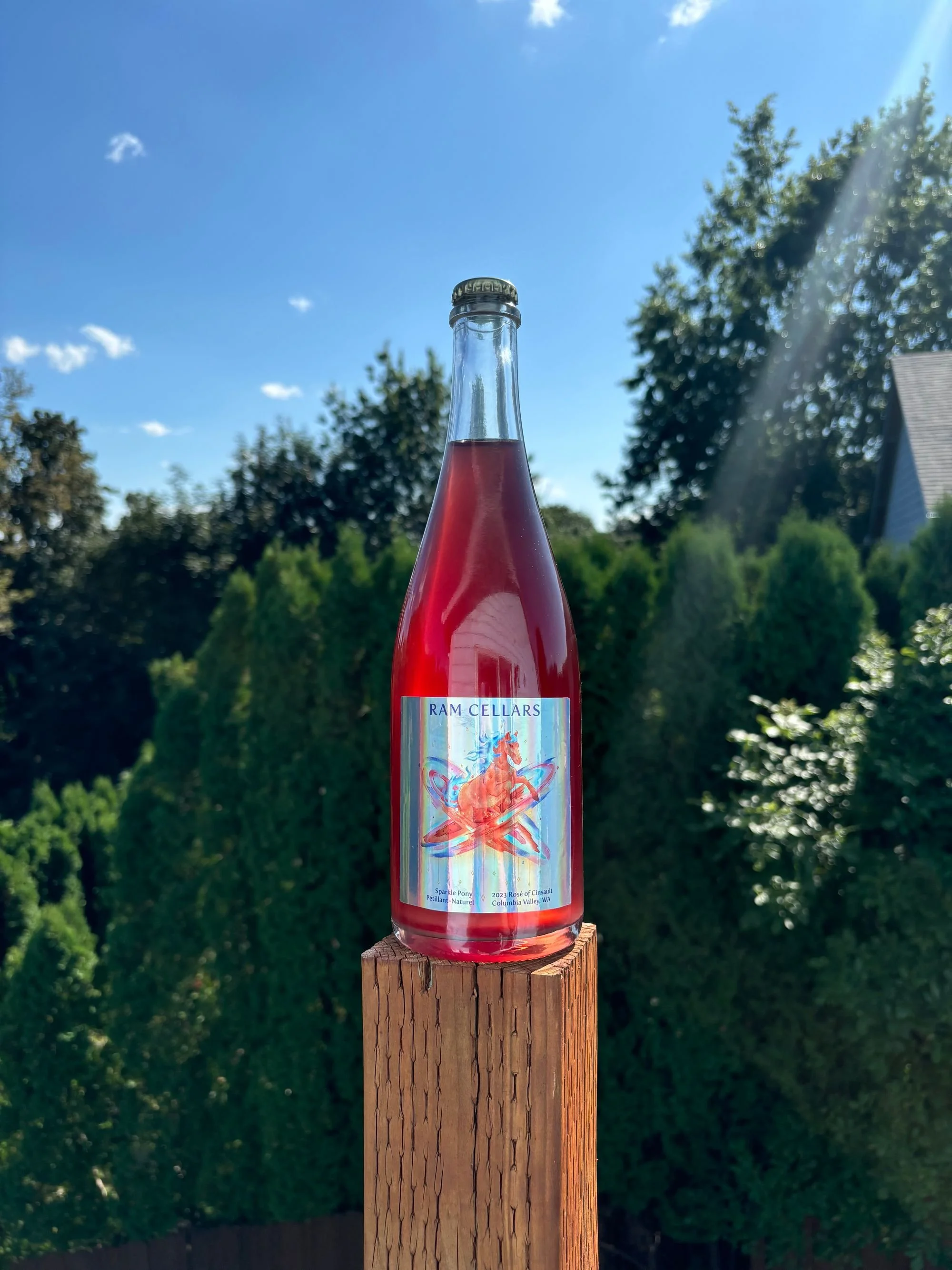 アデニウム☆花芽あり❣️☆ナタリー☆Natalee☆レア❣️約46センチ❣️ 2023 Sparkle Pony Pet Nat — RAM Cellars